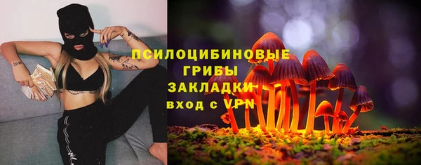 гашик Володарск